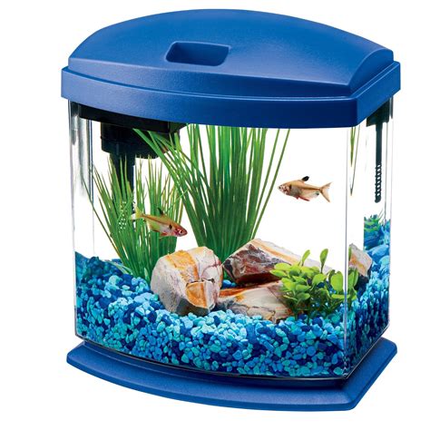 12 Best Fish Tank For Kids 2024 .